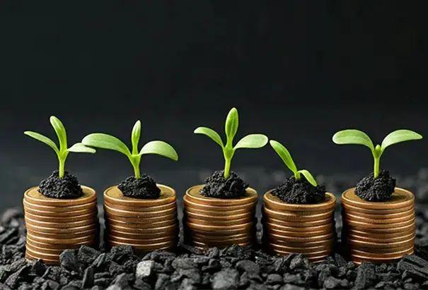 💚 Biochar = Slow but Sure Revolution